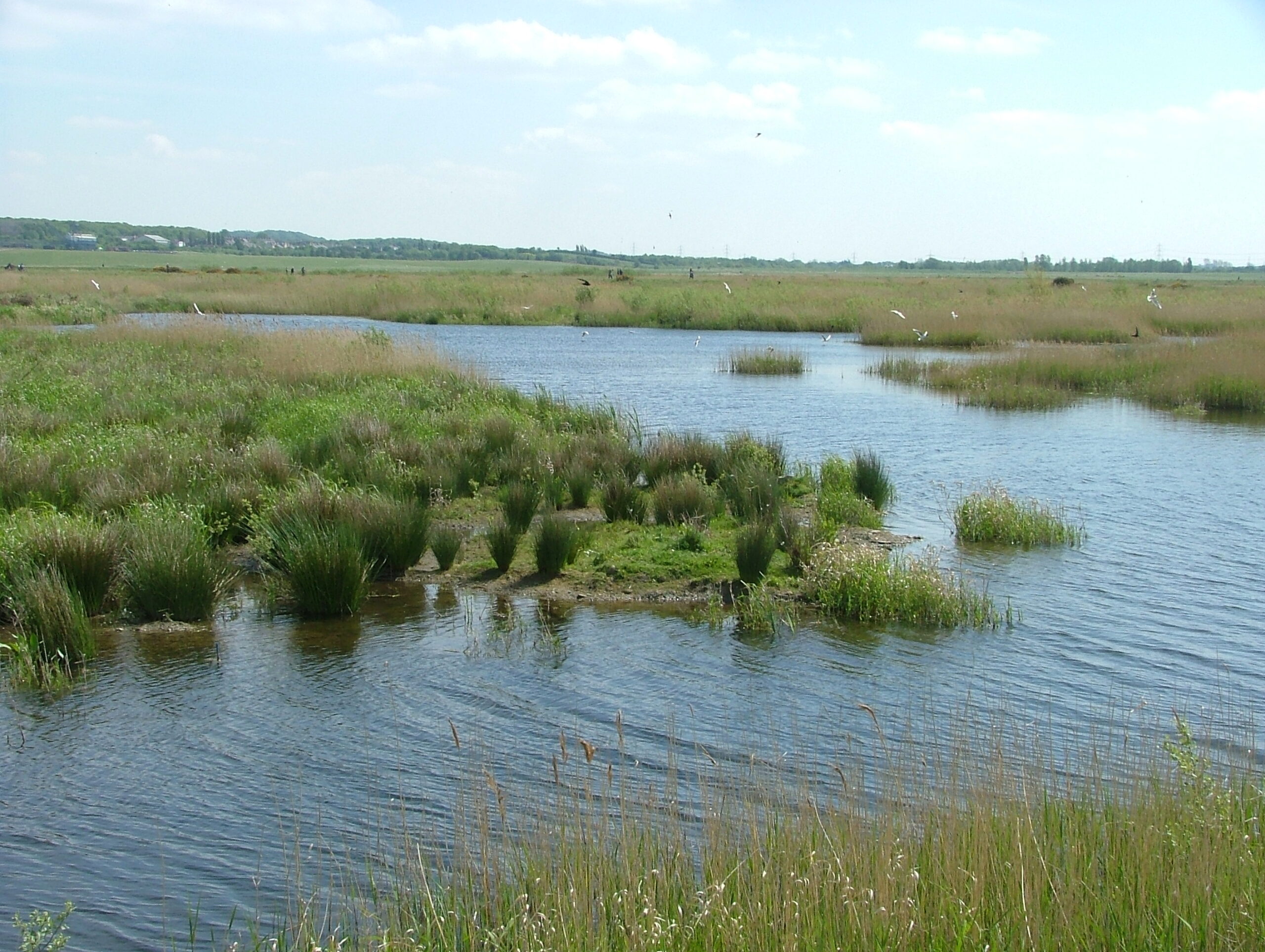 RSPB St Aidan’s