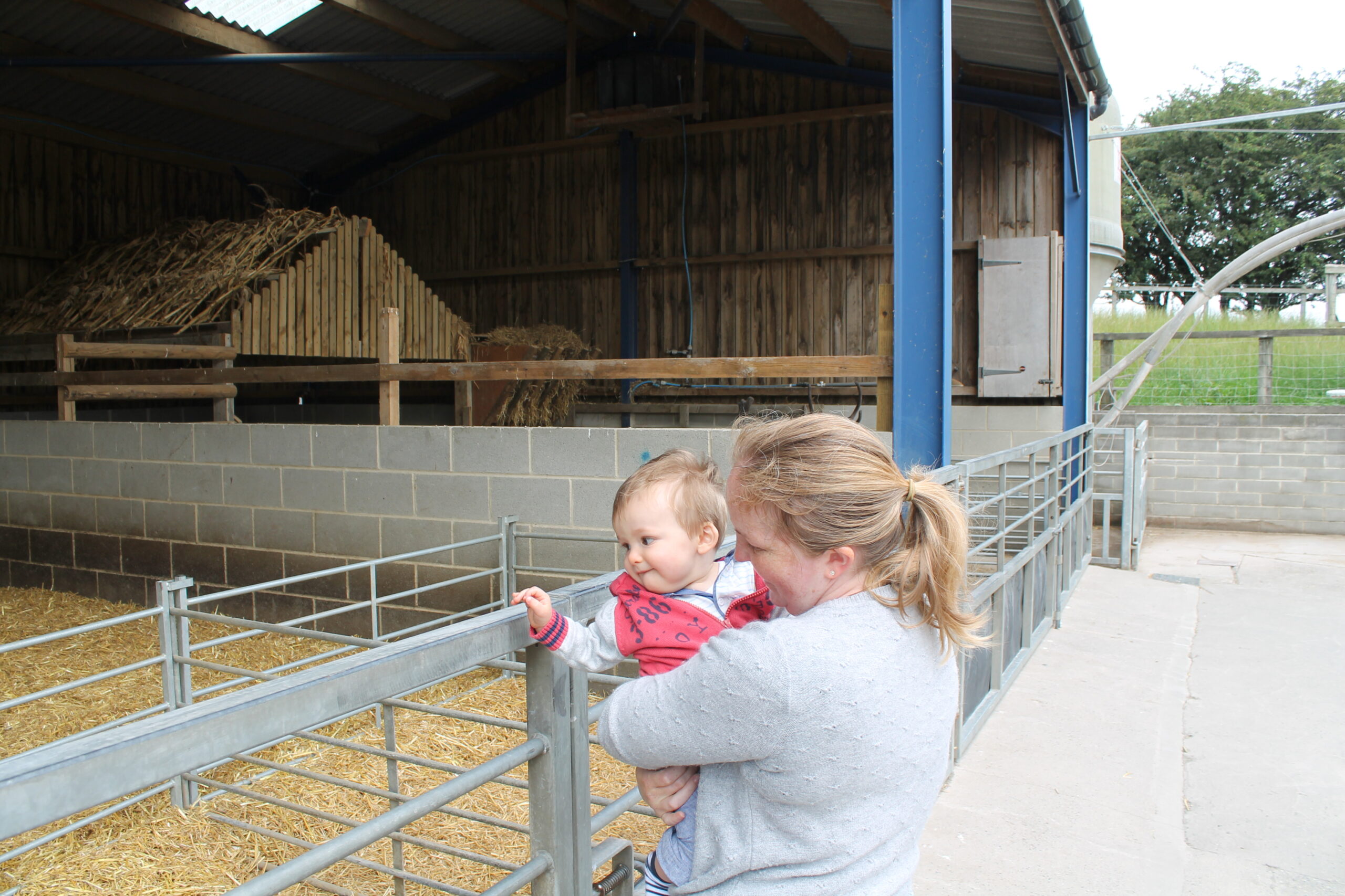 Cannon Hall Farm